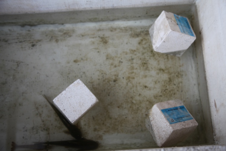 防水防潮墙板 防水防潮墙板